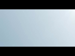 Introdução da marca