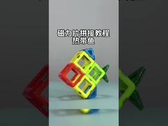 Conjunto de azulejos magnéticos com formas versáteis para animais e plantas Peixes tropicais